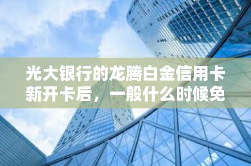 光大银行的龙腾白金信用卡新开卡后，一般什么时候免年费啊？