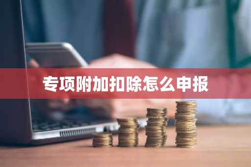 专项附加扣除怎么申报