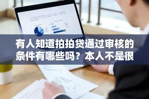 有人知道拍拍贷通过审核的条件有哪些吗？本人不是很了解。