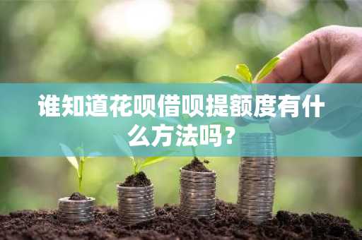 谁知道花呗借呗提额度有什么方法吗？