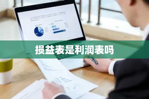 损益表是利润表吗