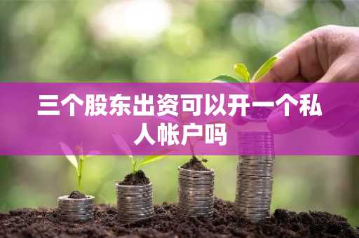 三个股东出资可以开一个私人帐户吗