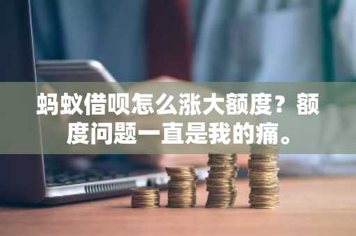蚂蚁借呗怎么涨大额度？额度问题一直是我的痛。