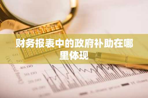 财务报表中的政府补助在哪里体现
