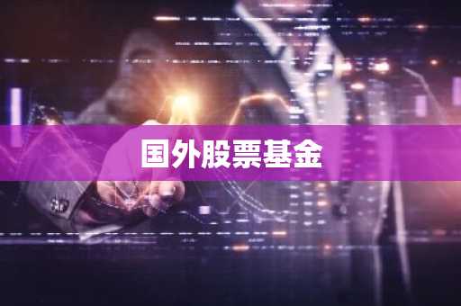 国外股票基金