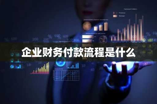 企业财务付款流程是什么