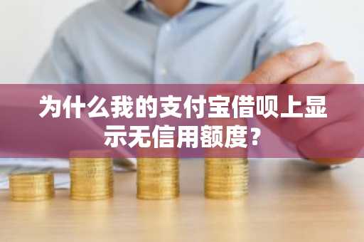 为什么我的支付宝借呗上显示无信用额度？