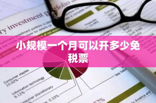 小规模一个月可以开多少免税票