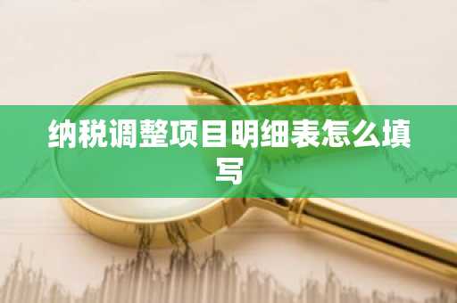 纳税调整项目明细表怎么填写