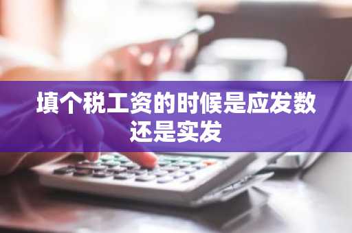 填个税工资的时候是应发数还是实发