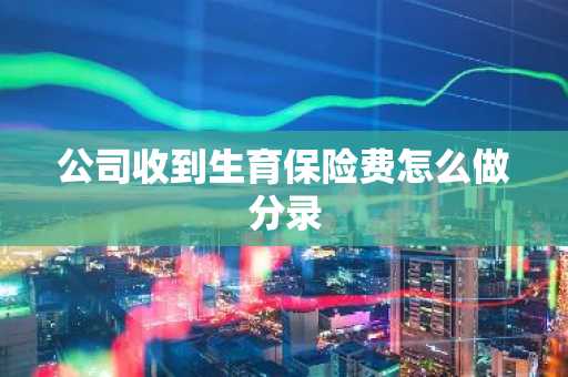 公司收到生育保险费怎么做分录