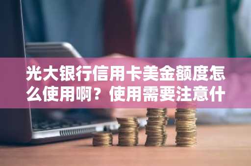 光大银行信用卡美金额度怎么使用啊？使用需要注意什么？