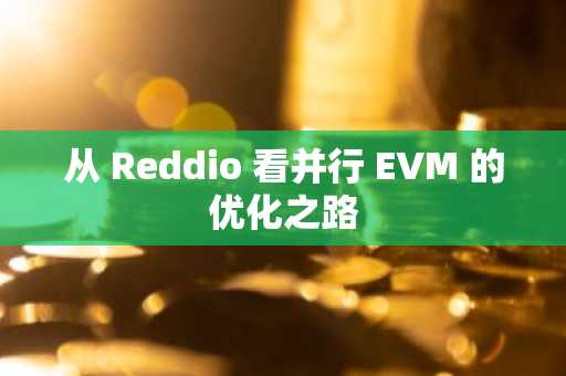 从 Reddio 看并行 EVM 的优化之路