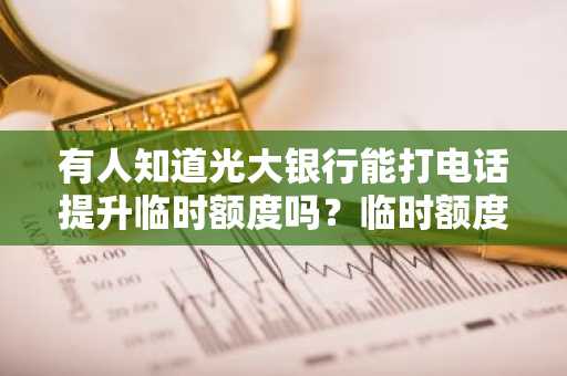 有人知道光大银行能打电话提升临时额度吗？临时额度怎么调？