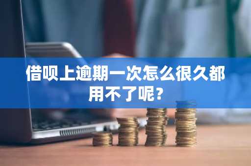 借呗上逾期一次怎么很久都用不了呢？
