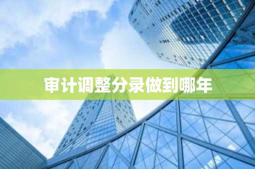 审计调整分录做到哪年
