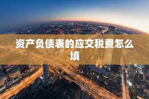 资产负债表的应交税费怎么填