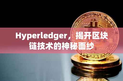 Hyperledger，揭开区块链技术的神秘面纱