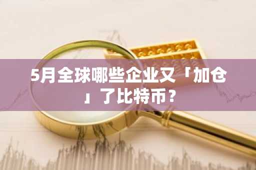 5月全球哪些企业又「加仓」了比特币？