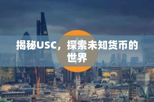 揭秘USC，探索未知货币的世界