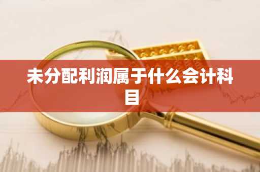 未分配利润属于什么会计科目
