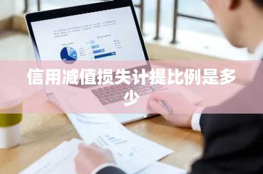 信用减值损失计提比例是多少