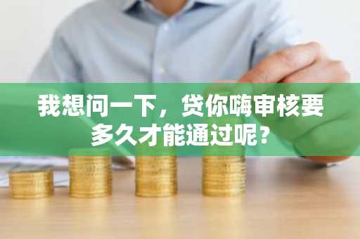 我想问一下，贷你嗨审核要多久才能通过呢？
