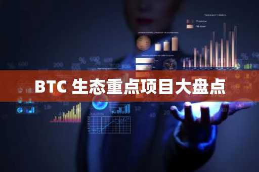 BTC 生态重点项目大盘点