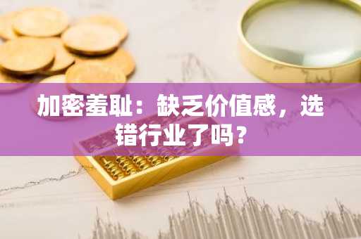 加密羞耻：缺乏价值感，选错行业了吗？