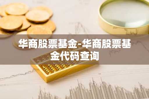 华商股票基金-华商股票基金代码查询