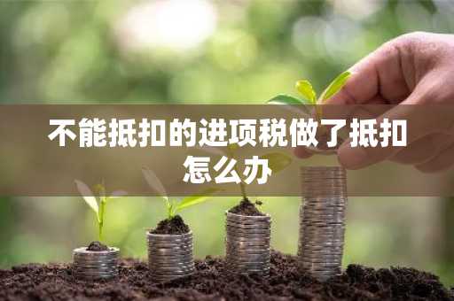 不能抵扣的进项税做了抵扣怎么办