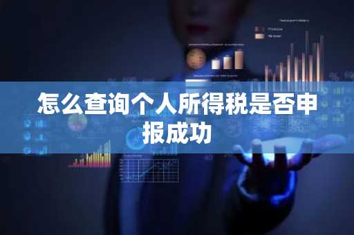 怎么查询个人所得税是否申报成功