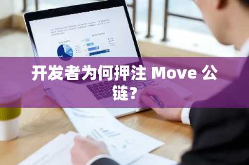 开发者为何押注 Move 公链？