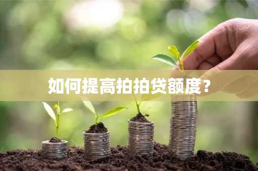 如何提高拍拍贷额度？