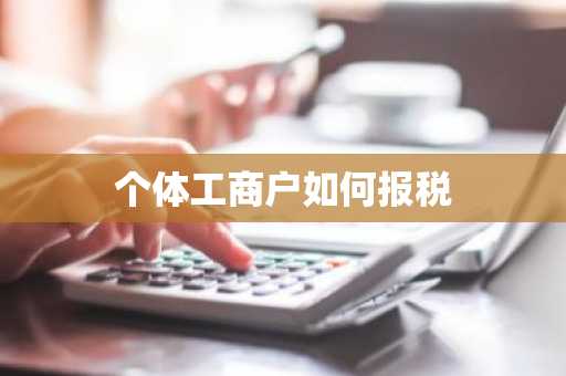 个体工商户如何报税