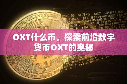 OXT什么币，探索前沿数字货币OXT的奥秘