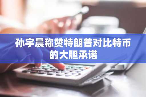 孙宇晨称赞特朗普对比特币的大胆承诺