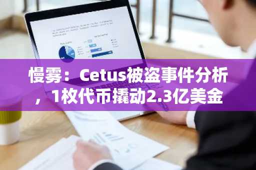 慢雾：Cetus被盗事件分析，1枚代币撬动2.3亿美金