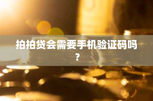 拍拍贷会需要手机验证码吗？
