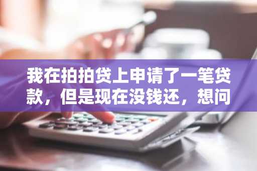我在拍拍贷上申请了一笔贷款，但是现在没钱还，想问一下拍拍贷没还钱会咋样呢？