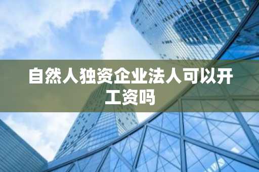自然人独资企业法人可以开工资吗