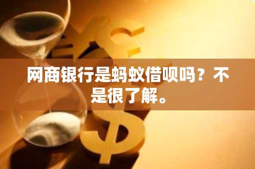 网商银行是蚂蚁借呗吗？不是很了解。