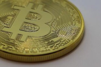 梅花生物的股票代码_梅花生物的股票代码是多少