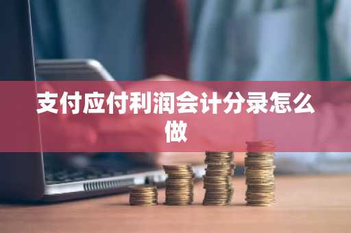 支付应付利润会计分录怎么做