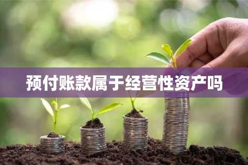 预付账款属于经营性资产吗