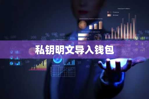 私钥明文导入钱包