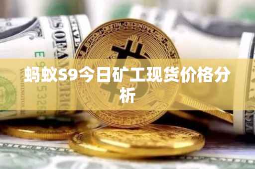 蚂蚁S9今日矿工现货价格分析