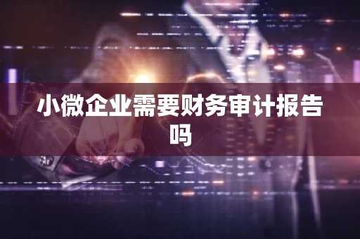 小微企业需要财务审计报告吗