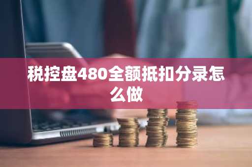 税控盘480全额抵扣分录怎么做
