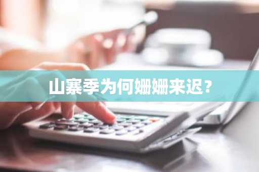 山寨季为何姗姗来迟？